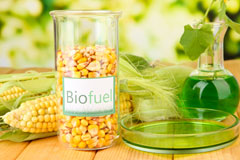Stoke Fleming biofuel availability